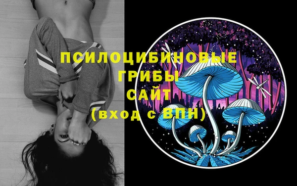 стаф Балабаново