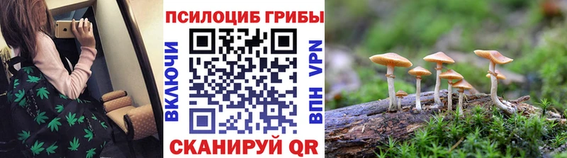 Купить где  Тосно  Галлюциногенные грибы мухоморы 